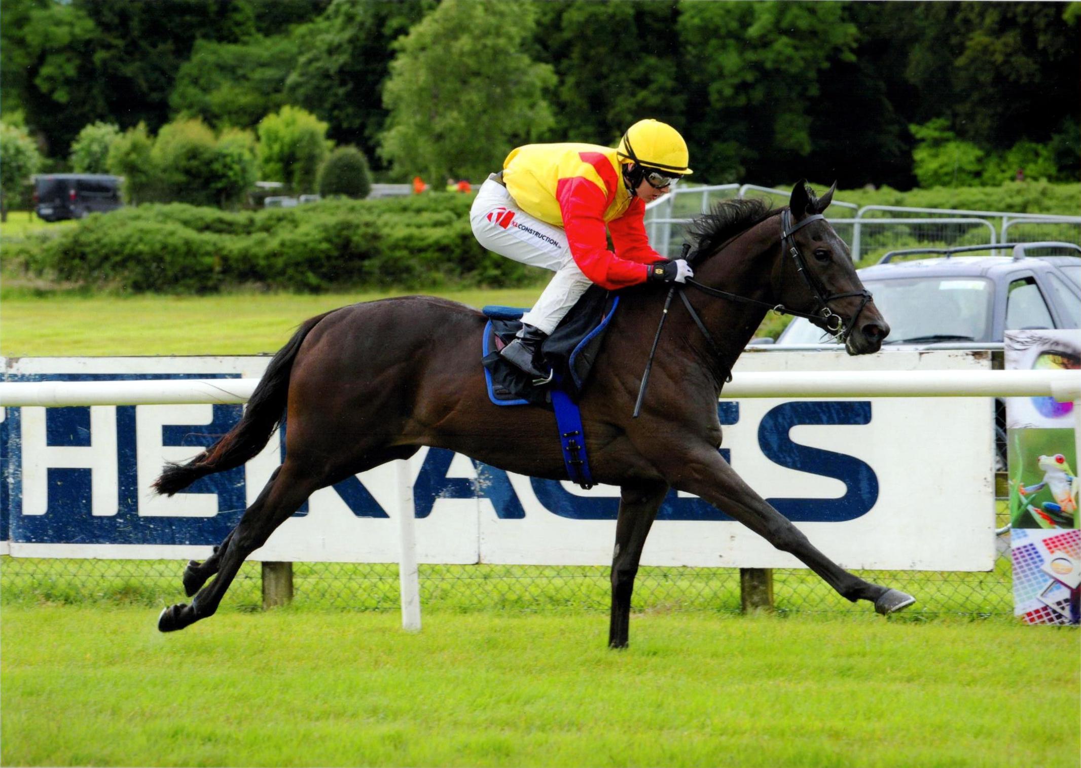 BOYFRIEND BRIAN wins impressively first time out at Bellewstown 1st July 2016